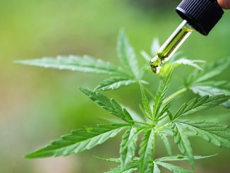 Le CBD contre le stress