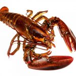 Fret maritime de homards du Maine