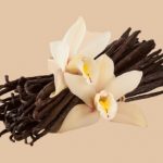 vanille de Madagascar